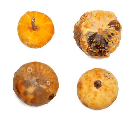 Image showing Four small decorative pumpkin