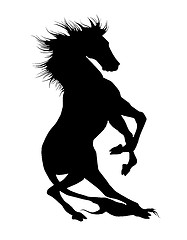 Image showing Horse silhouettes