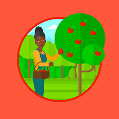 Image showing Farmer collecting apples vector illustration.