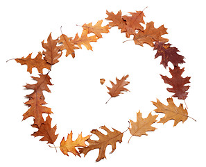 Image showing Frame of autumn dried oak leaves