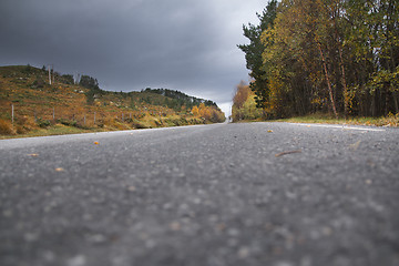 Image showing Autumn Road