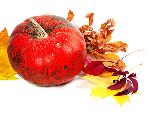 Image showing Ripe pumpkin and autumn leaves