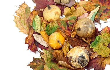 Image showing Four small decorative pumpkins on dry autumn multicolor leafs