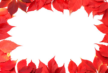 Image showing Red autumn leaves frame isolated on white background