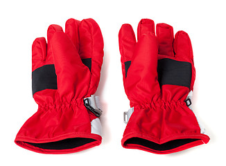 Image showing Pair of winter ski gloves