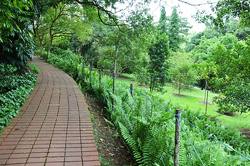 Image showing Red brick path in Singapore Botanic Garden  