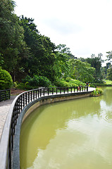 Image showing Lake in Singapore Botanic Garden