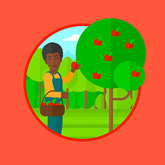 Image showing Farmer collecting apples vector illustration.