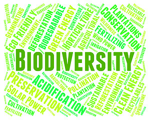 Image showing Biodiversity Word Indicates Plant Life And Animal