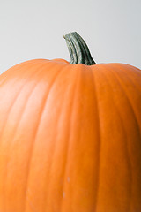 Image showing Close-up pumpkin shot