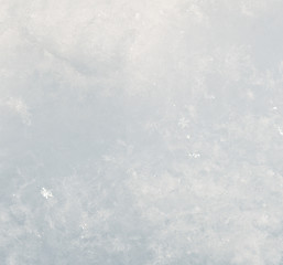 Image showing fresh snow