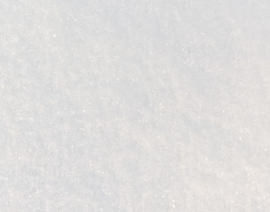 Image showing fresh snow