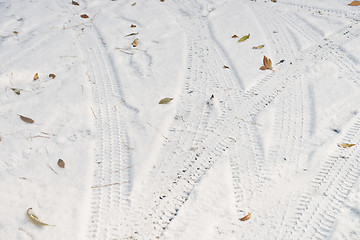 Image showing fresh snow