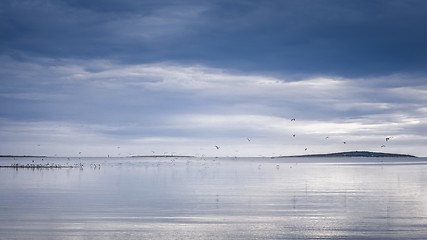 Image showing Seasapewith horizon and birds