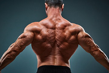 Image showing torso of attractive male body builder on gray background.