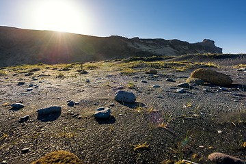 Image showing Beach near Vik Iceland