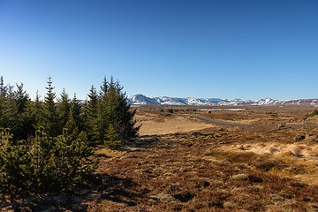 Image showing Landscape on Iceland