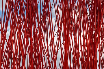 Image showing Red sticks in motion