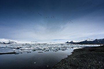 Image showing Icebergs at glacier lagoon 