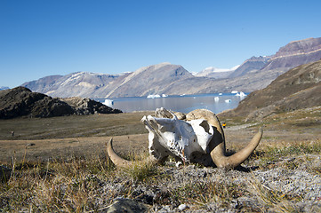 Image showing Mountain view in Greenland