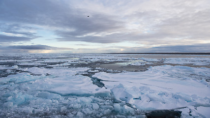 Image showing Icebreaker in the ice