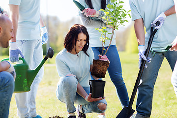 Image showing group of volunteers planting tree in park