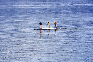 Image showing Young people Paddling Together in the sea