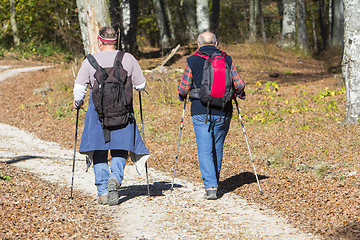 Image showing Two older men walking by hiking trail