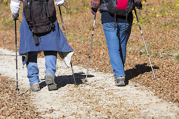 Image showing Two older men walking by hiking trail