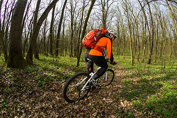 Image showing Man bikes in the green forest