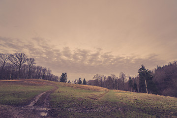 Image showing Road on a field by a forest