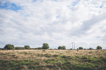 Image showing Prairie scenery with bush and trees