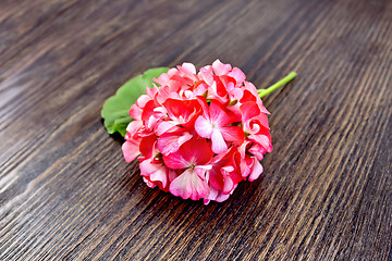 Image showing Geranium pink with leaf on wooden board