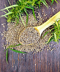 Image showing Grain hemp in spoon with leaf on board top