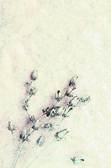 Image showing Light Pastel Floral Background