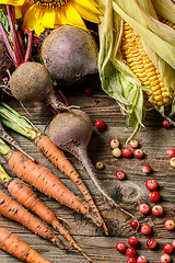 Image showing Cranberries and raw vegetables