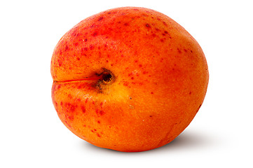 Image showing Ripe juicy apricots rotated