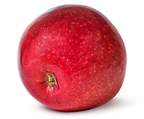 Image showing Red ripe apple bottom view