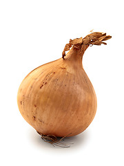 Image showing onion