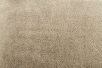 Image showing Leather texture