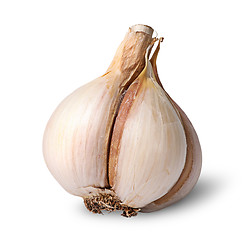 Image showing Single garlic bulb