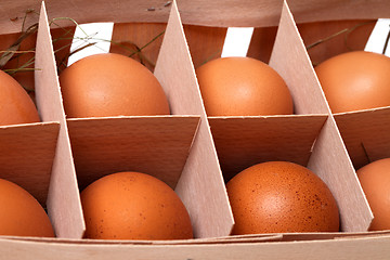 Image showing Brown fresh eggs in eco-box