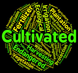 Image showing Cultivated Word Shows Grows Text And Farms