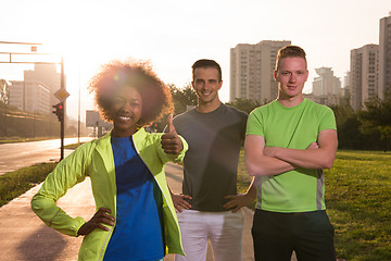 Image showing portrait multiethnic group of people on the jogging