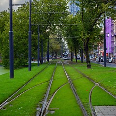 Image showing Railroad covered in grass