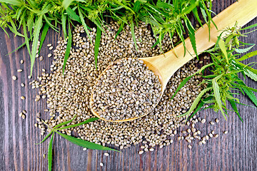 Image showing Grain hemp in spoon on dark board top