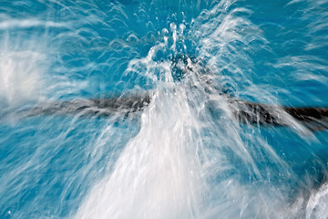 Image showing Dolphin blur in the water