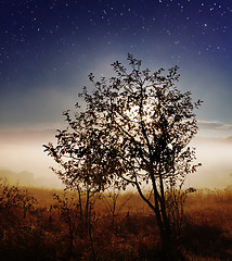 Image showing star sky over countryside