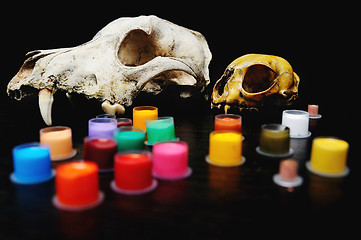 Image showing Caps for tattoo ink with colored  on the background of a skull.