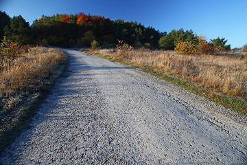 Image showing asphalt road in autumn day